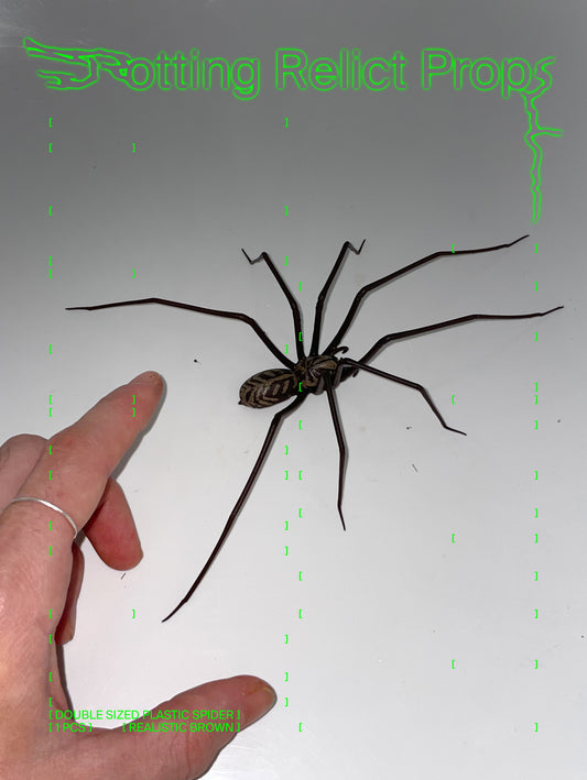 Realistic Brown Double-sized Giant House Spider Prop