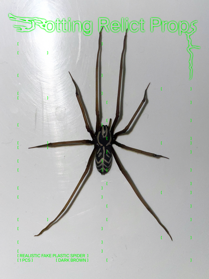 Realistic Brown Giant House Spider Prop