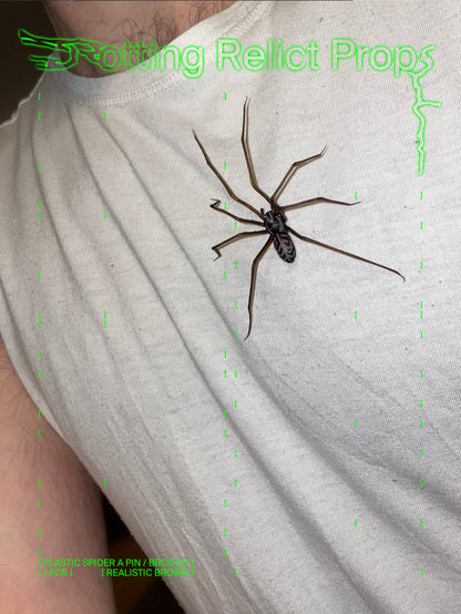 Plastik Spinne als Pin / Brosche | Realistische Hauswinkelspinne | 1 Stk