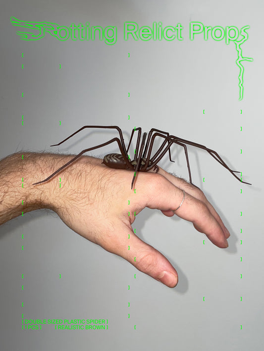 riesige Spinne aus Plastik als Dekoration | doppelt so große realistische Hauswinkelspinne | Halloween Requisite | 1 Stk