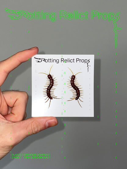 Realistic Brown Centipede Earrings