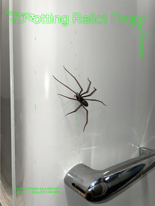 Plastik Spinne als Magnet (ORIGINAL!) | Realistische Hauswinkelspinne | 1 Stk