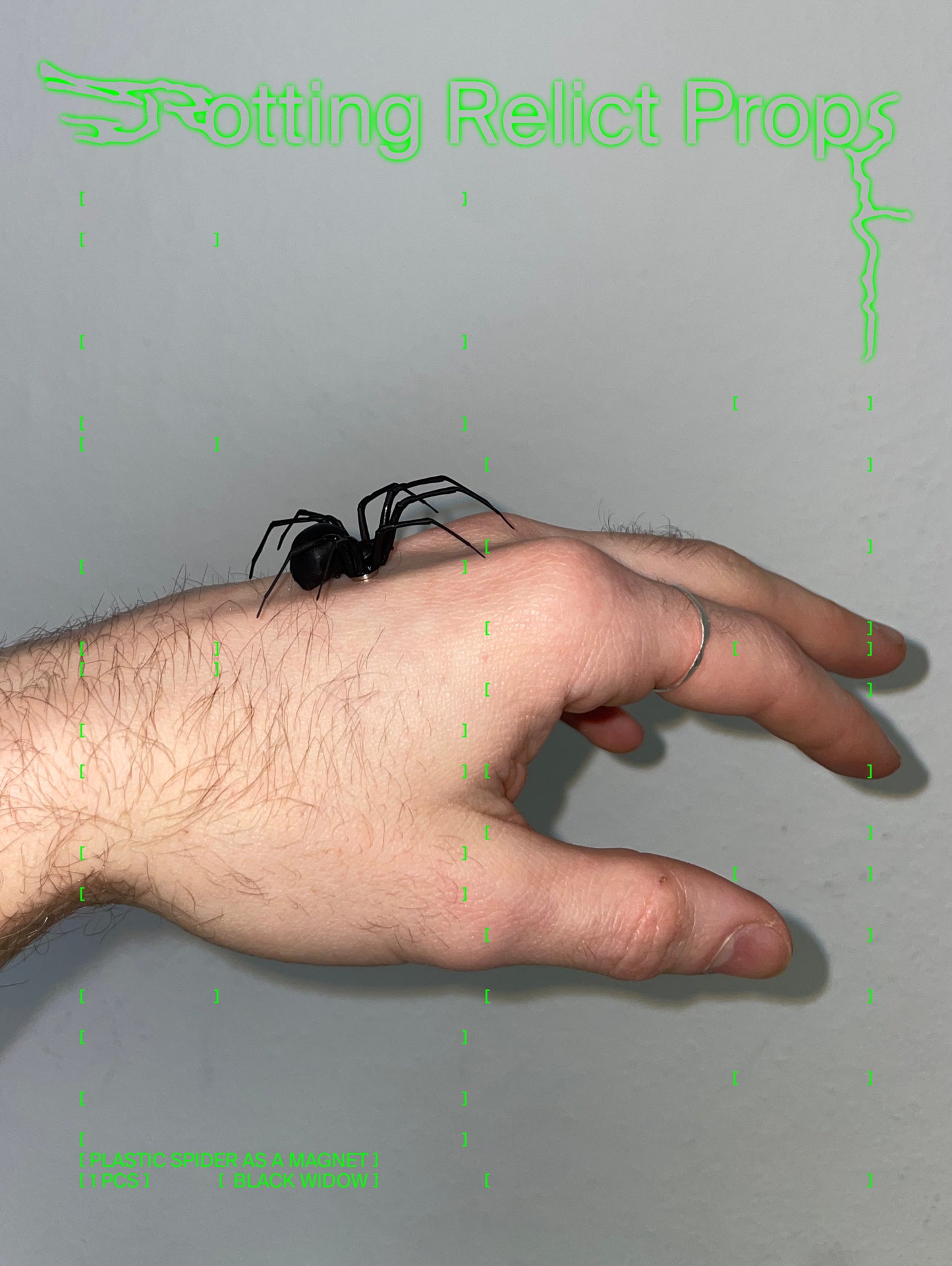 Realistic Black Widow Spider Magnet