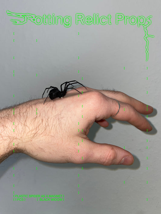 Realistic Black Widow Spider Magnet