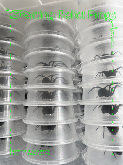 Realistic Black Widow Spider Magnet