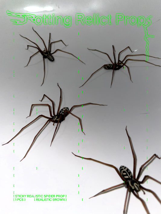 Sticky Realistic Brown Giant House Spider Prop