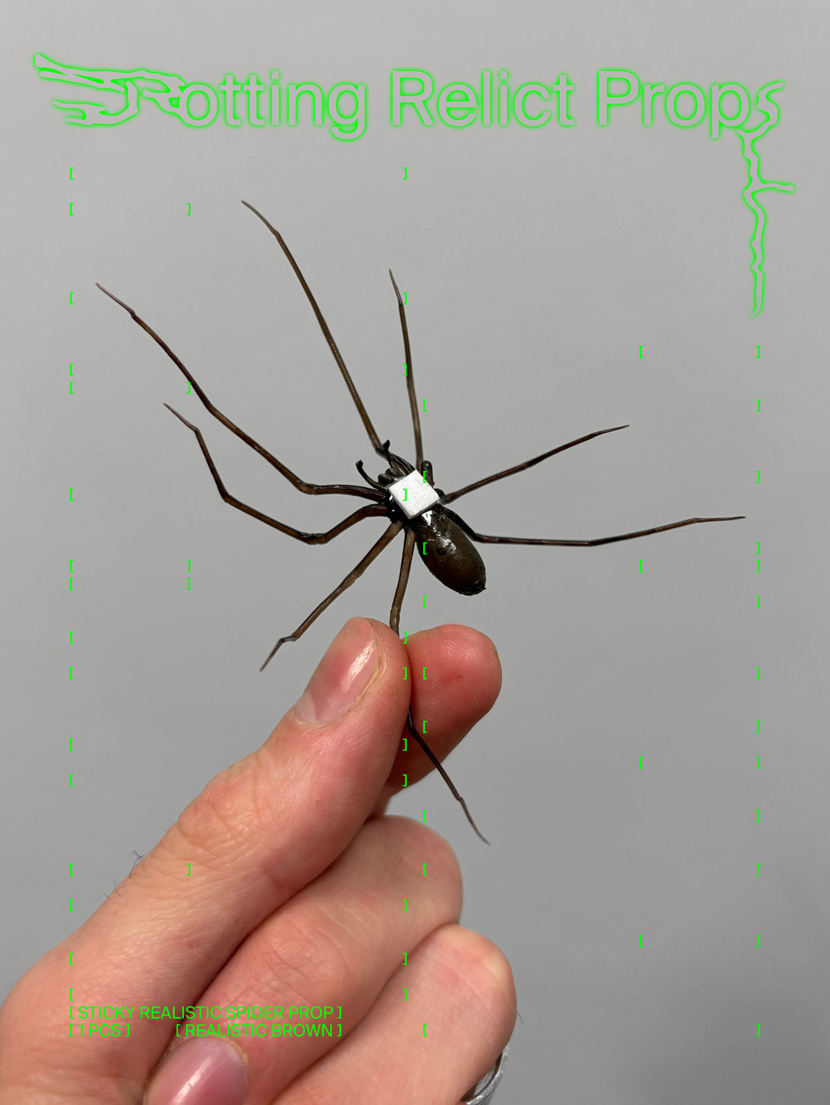 Sticky Realistic Brown Giant House Spider Prop