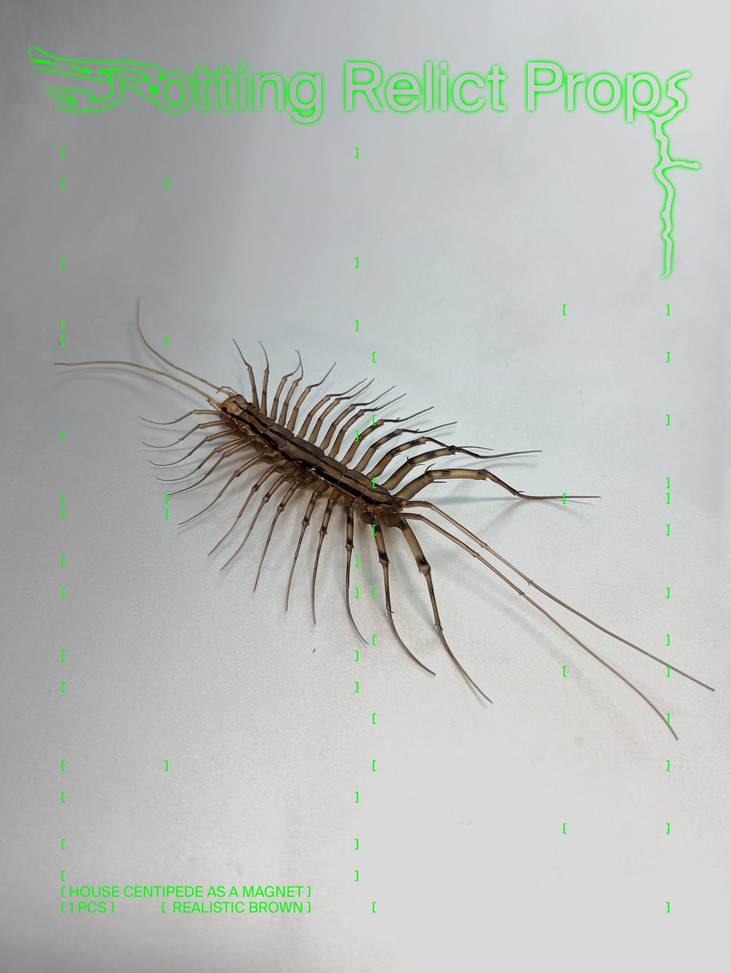 Realistic House Centipede Magnet