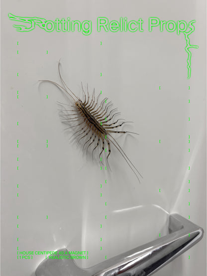 Realistic House Centipede Magnet