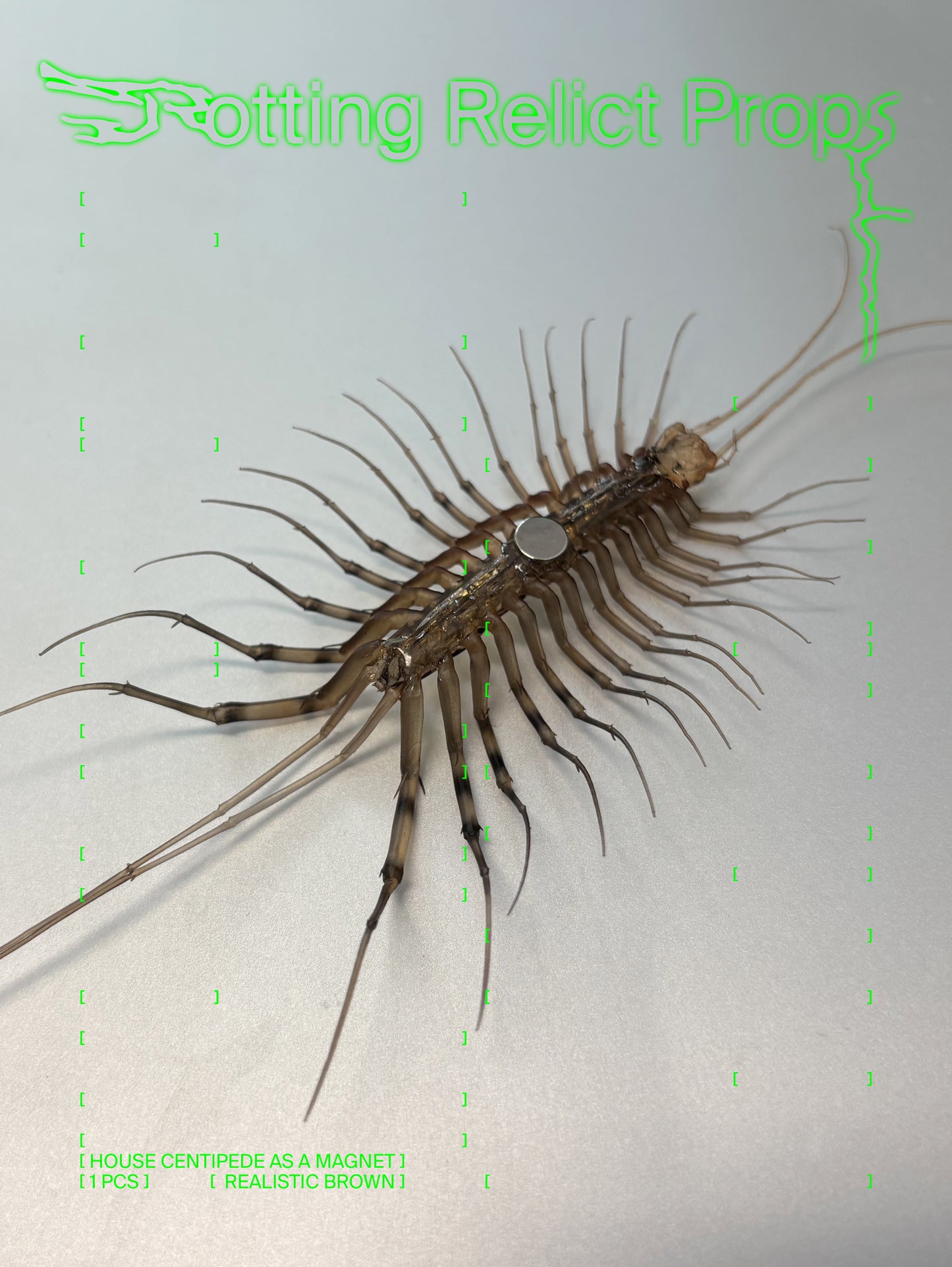 Realistic House Centipede Magnet