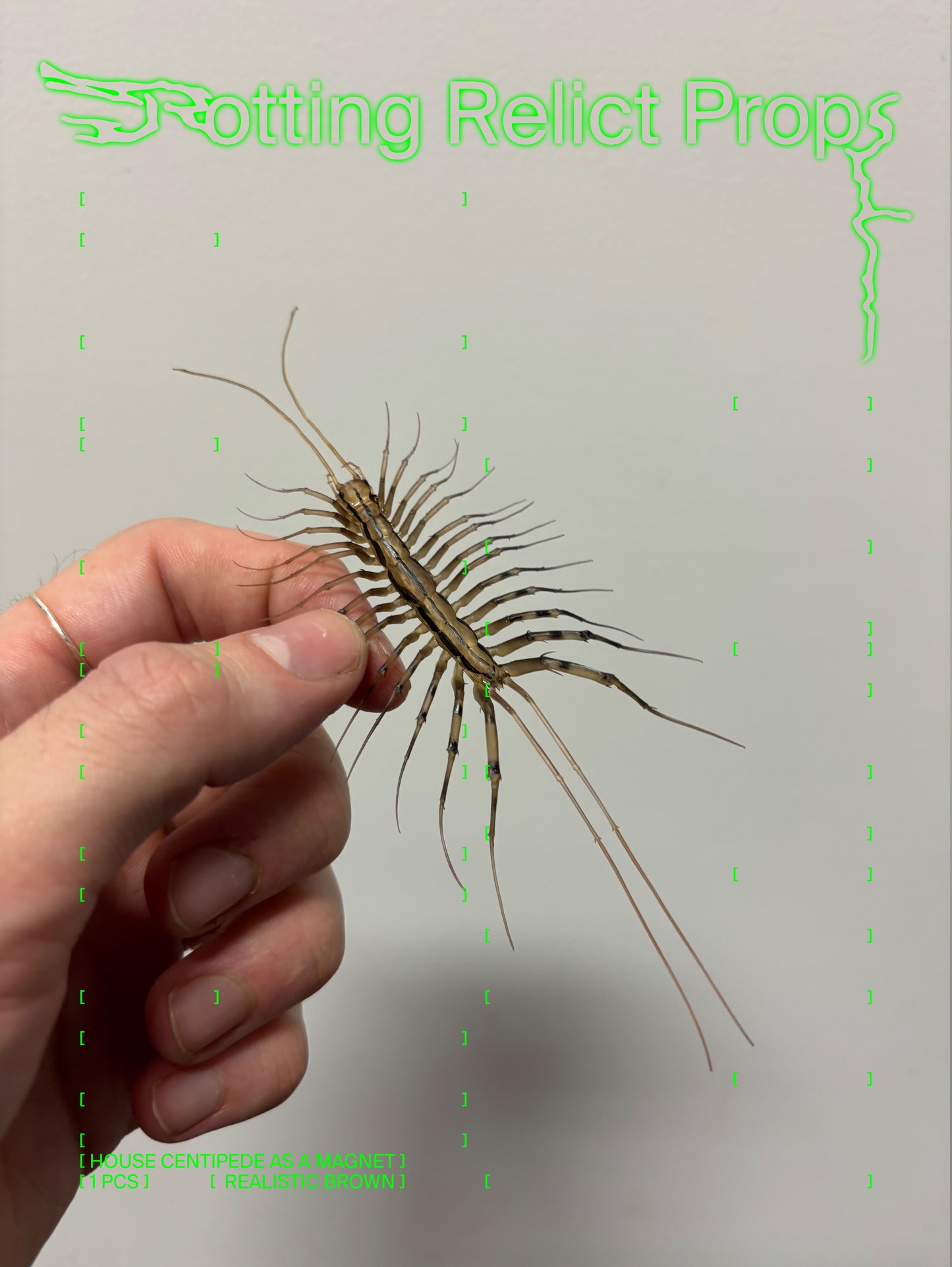 Realistic House Centipede Magnet