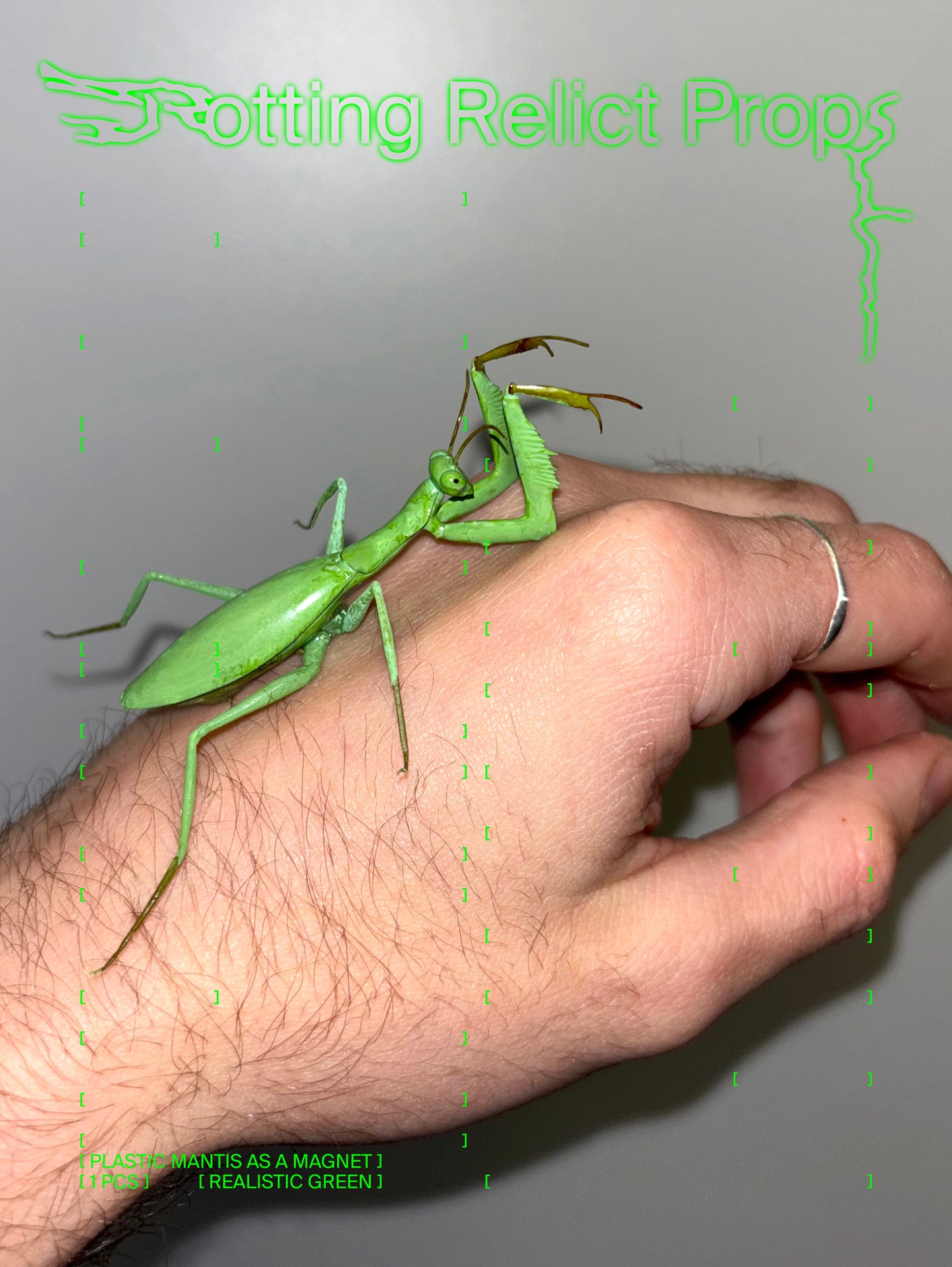 Realistic Green Praying Mantis Magnet