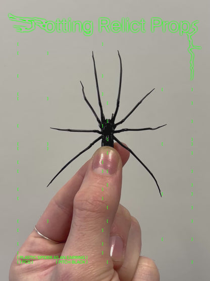 Pitch Black Giant House Spider Earring