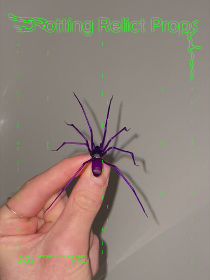 Purple Giant House Spider Earring