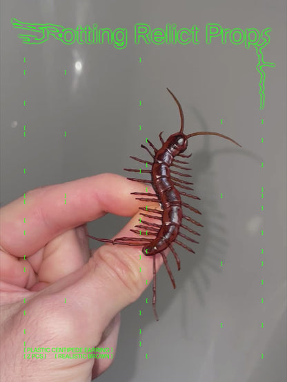 Realistic Brown Giant Centipede Earrings