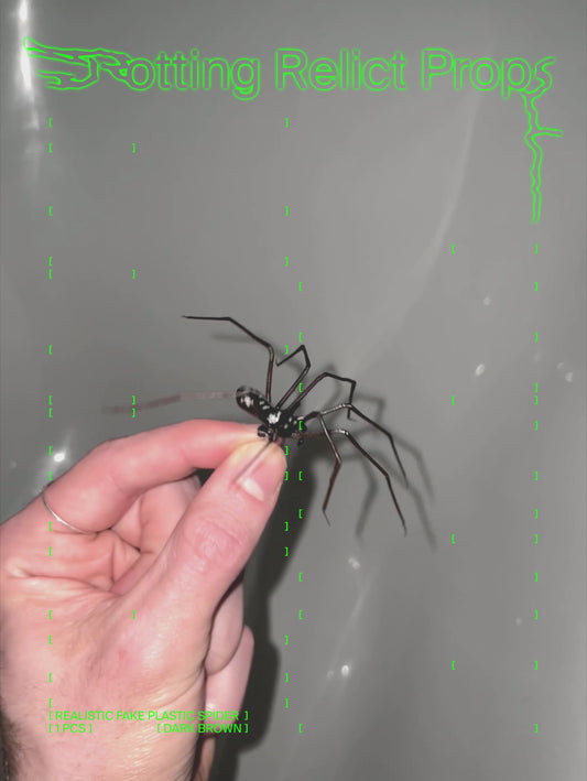 Plastik Spinne als Ohrring (ORIGINAL!) | Realistische Hauswinkelspinne | 1 Stk