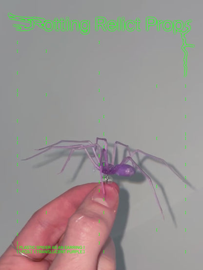 Translucent Purple Giant House Spider Earring