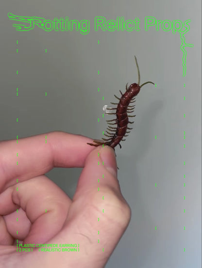 Realistic Brown Centipede Earrings