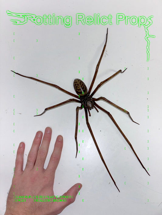 Realistic Brown Monster House Spider Prop